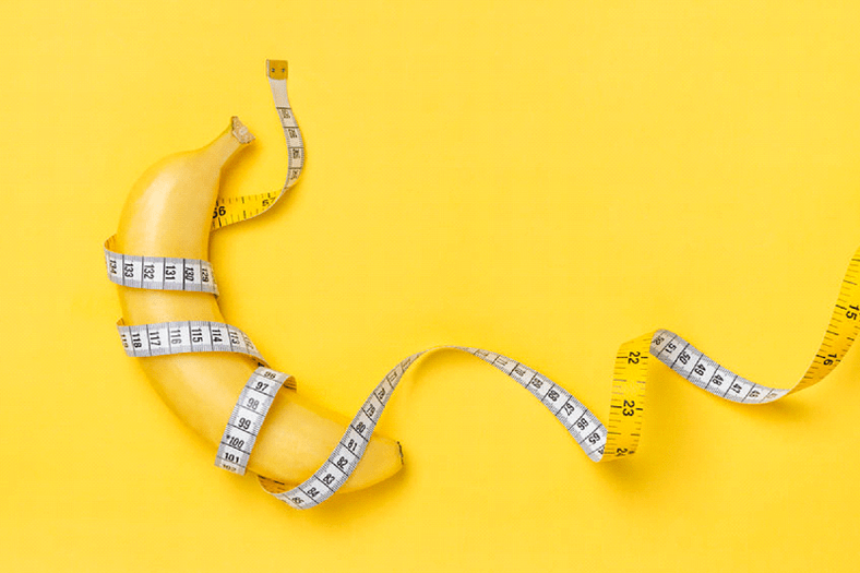 La dimensione media del pene è in erezione - 13,12 cm